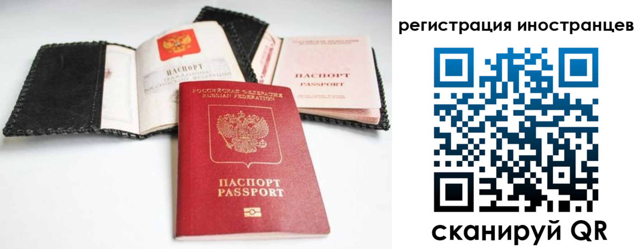 прописка гарантия в Ясном